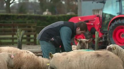 Tous les 10 ans, la France réalise une photographie du monde agricole. Une nouvelle génération souvent plus diplômée se tourne vers l’avenir et montre un nouveau visage du monde agricole. &nbsp; (CAPTURE ECRAN FRANCE 2)