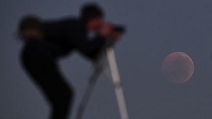 A Melbourne (Australie), l'éclipse a ravi les photographes. (WILLIAM WEST / AFP)