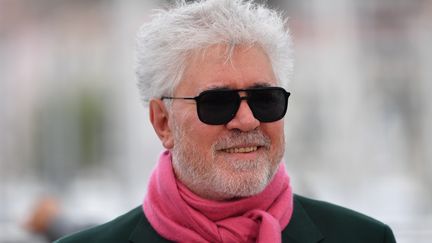 Pedro Almodovar à Cannes en mai 2019, où il présentait son dernier opus,&nbsp;Doleur et Gloire. (ALBERTO PIZZOLI / AFP)