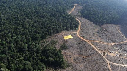 Près de 64 millions d’hectares sont concernés par cette décision. Celle-ci s'inscrit dans le cadre de l’accord conclu entre la Norvège et l'Indonésie par lequel le gouvernement norvégien s'est engagé à verser un milliard de dollars au gouvernement indonésien pour l’aider à protéger ses forêts.
	  (AFP PHOTO / ROMEO GACA)