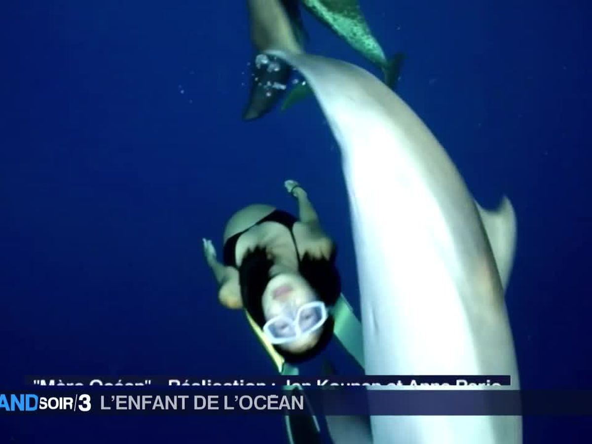 Culture Une Grossesse Au Milieu Des Dauphins