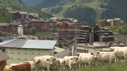 Depuis 30 ans, Toni Del Monte accompagne chaque été des vaches dans la célèbre station de ski de l'Alpe-d'Huez (Isère). Mais le bouvier va bientôt prendre sa retraite et les éleveurs de la région ne lui ont pas encore trouvé de successeur. (FRANCE 3)