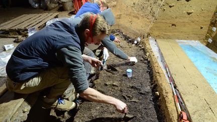 Des chercheurs font des fouilles dans la grotte de Bacho Kiro, en Bulgarie, où des os d'Homo sapiens datant d'environ 45 000 ans ont été retrouvés, le 11 mai 2020. (REUTERS)