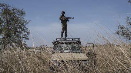 Un ranger du parc national de la Pendjari en patrouille sur son véhicule, le 10 janvier 2018 près de Tanguieta (Bénin). (STEFAN HEUNIS / AFP)