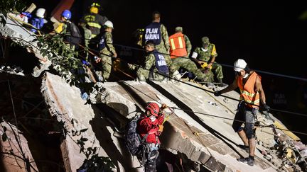 Des secouristes, des pompiers, des soldats et des volontaires à la recherche de survivants dans les décombres d'un immeuble après le séisme du 19 septembre à Mexico (RONALDO SCHEMIDT / AFP)