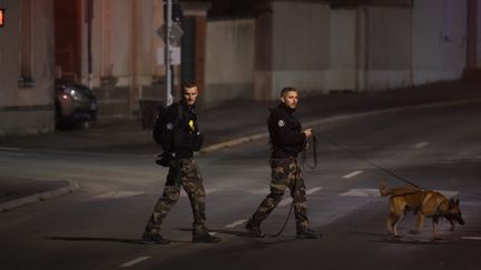 Des gendarmes à Sablé-sur-Sarthe (Sarthe), le 9 novembre 2021, après la découverte de l'adolescente disparue lors de son jogging. (JEAN-FRANCOIS MONIER / AFP)