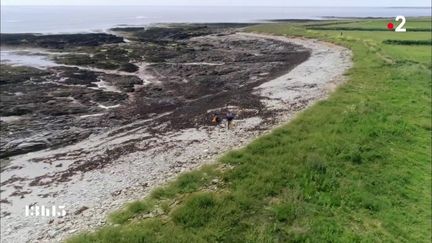 VIDEO. La pollution plastique menace aussi l'île déserte sur laquelle vit un couple de Robinson modernes en mer d'Iroise