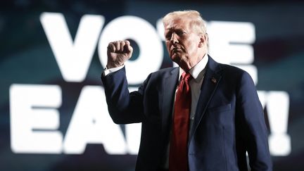 Donald Trump en meeting à Détroit dans l'Etat du Michigan (Etats-Unis), le 18 octobre 2024. (WIN MCNAMEE / GETTY IMAGES NORTH AMERICA / AFP)