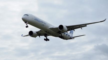 Airbus A350 au-dessus de l'aéroport de Châteauroux, le 8 février 2019.&nbsp; (GUILLAUME SOUVANT / AFP)