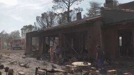 Incendie dans les Pyrénées-Orientales : les images d'un paysage totalement dévasté (France 2)