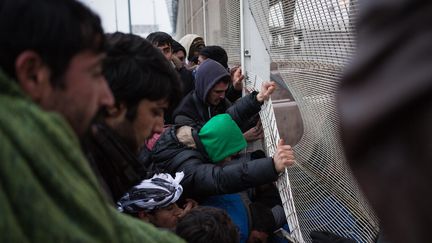 Des migrants et des manifestants qui les soutiennent s'introduisent dans le port de Calais, le 23 janvier 2016. (MAXPPP)