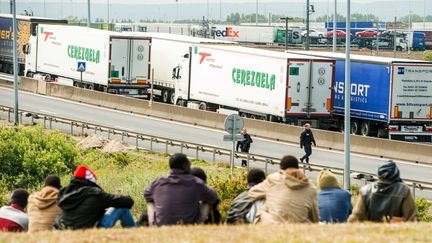 Des migrants attendent pr&egrave;s de l'autoroute A16 pour tenter d'acc&eacute;der au tunnel sous la Manche &agrave; Calais (Pas-de-Calais), le 23 juin 2015. (PHILIPPE HUGUEN / AFP)