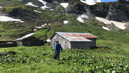 A la faveur du déconfinement, le refuge d’Anterne,&nbsp;en Haute-Savoie, se prépare à accueillir de nouveau les randonneurs, mais avec des règles strictes. (JEROME VAL / RADIO FRANCE)