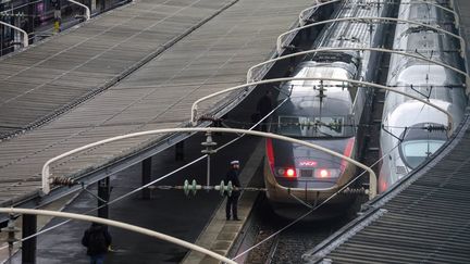 Des trains attendent&nbsp;dans la gare de l'Est, à Paris, le 15 février 2018. (LUDOVIC MARIN / AFP)