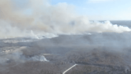 Saint-Jean-d'Illac : l'incendie a déjà ravagé 550 hectares de pinède