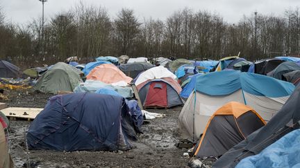 Des tentes dans le camp de Grande-Synthe (Nord), le 29 janvier 2016. (JULIEN  PITINOME / CITIZENSIDE.COM / AFP)