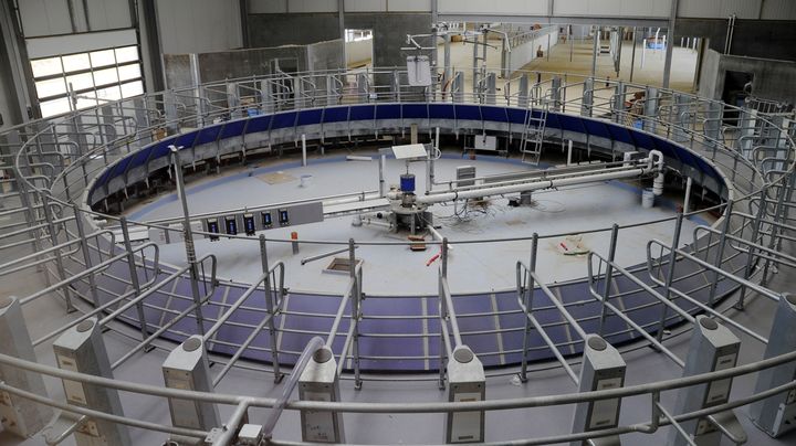 La salle de traite de la "ferme des mille vaches" (Somme), le 20 juin 2014. (FRANCOIS LO PRESTI / AFP)