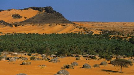 C'est à 700 km d'Adrar, au sud de l'Algérie, que les neuf enseignantes ont été agressées mi-mai 2021 (photo d'archives de la palmeraie d'Adrar, le 17 septembre 2005).&nbsp; (BOURSEILLER PHILIPPE / HEMIS.FR / HEMIS.FR)