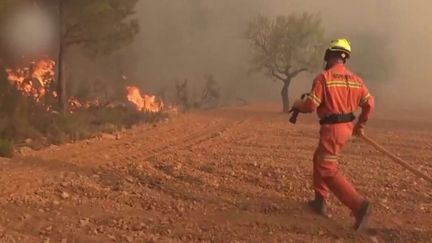 Sécheresse :&nbsp;une aridité qui frappe l'Europe du Sud (France 3)