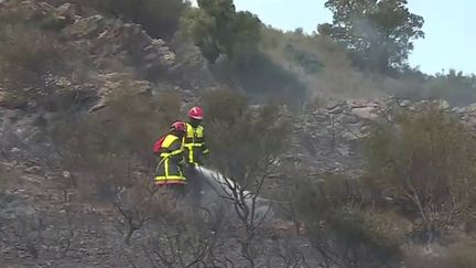 Incendies : un été de tous les dangers s’annonce (France info)