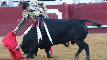 Corrida dans les arènes de Nîmes en juillet 2016
 (SEBASTIEN LAPEYRERE/PHOTOPQR/LA DEPECHE DU MIDI/MAXPPP)