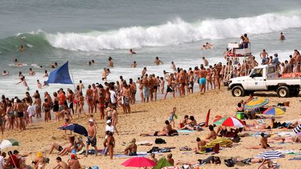 Vacances à la plage : les plagistes à pied d'œuvre