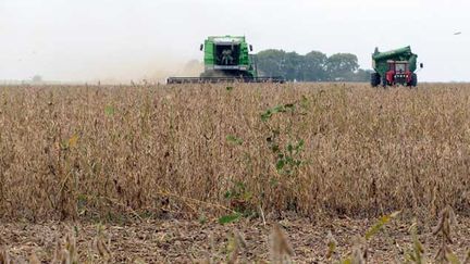 &nbsp; (L'herbicide glyphosate, l'un des pesticides les plus utilisés dans le monde, a été classé cancérogène "probable chez  l'homme" par l'Iarc. Photo d'illustration  © REUTERS/Nicolas Misculin)