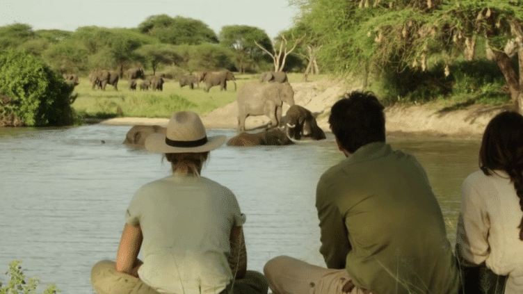 Tanzanie : au plus près des éléphants dans l'émission 