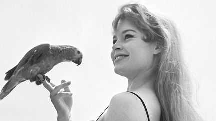 Brigitte Bardot en 1956
 (AFP FILES / UPI-AFP ARCHIVES / AFP)