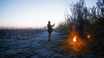 Lutte contre le gel dans une exploitation agricole de Seine-et-Marne en avril 2021 (OLIVIER CORSAN/MAXPPP)