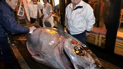 Ce thon rouge a &eacute;t&eacute; achet&eacute; le 5 janvier 2011 par le propri&eacute;taire d'une c&eacute;l&egrave;bre cha&icirc;ne de restaurants de sushi de Tokyo, Sushizanmai. (YOSHIKAZU TSUNO / AFP)