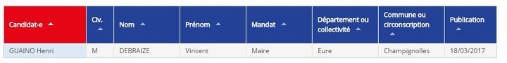 Capture d'écran du site du Conseil constitutionnel. (FRANCEINFO)