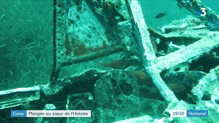 Corse : à la recherche d'un soldat américain disparu en mer en 1944