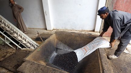 Arrivée des olives au moulin (MAHMUD TURKIA / AFP)