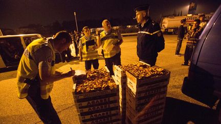 Champignons : un début de saison difficile