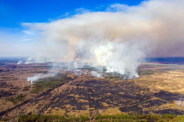 L'incendie dans la région de Tchernobyl, le 12 avril 2020, en Ukraine.&nbsp; (VOLODYMYR SHUVAYEV / AFP)