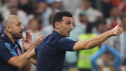 Lionel Scaloni lors de la demi-finale de la Coupe du monde remportée par l'Argentine contre la Croatie au stade Lusail de Doha, le 13 décembre 2022. (JACK GUEZ / AFP)