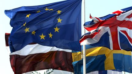 Drapeaux des Etats membres de l'Union Europ&eacute;enne, &agrave; Strasbourg, le 14 mars 2007. (GERARD CERLES / AFP)