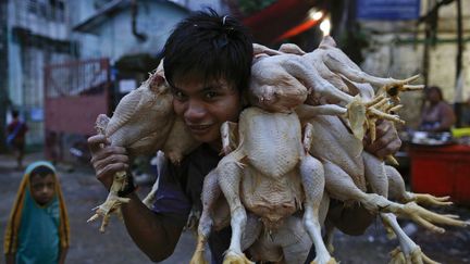 Un homme transporte des poulets sur le march&eacute; de Rangoun (Birmanie), le 26 septembre 2013. (SOE ZEYA TUN / REUTERS)