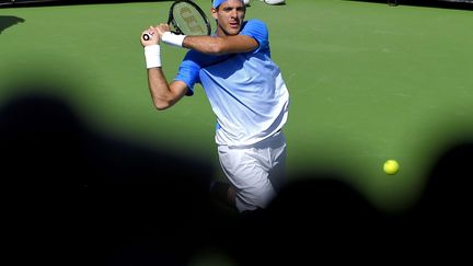 Juan Martin Del Potro, en 2016. (MARK J. TERRILL/AP/SIPA / AP)