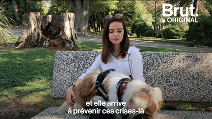 VIDEO. Le chien, meilleur ami de l’homme ? Une évidence pour cette adolescente atteinte de crises de panique (BRUT)