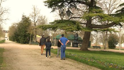 Les 11 000 arbres de Rochefort ont été estimés pour leur donner une valeur.&nbsp; (J. Chauvet / France Télévisions)