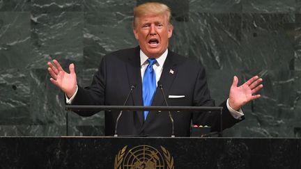 Donald Trump à la tribune de l'ONU (TIMOTHY A. CLARY / AFP)