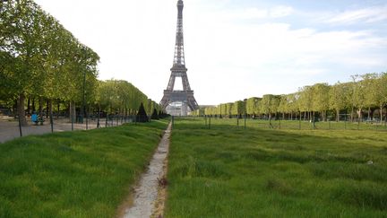 Le Champ de Mars, quartier de la Tour Eiffel. (CLÉMENCE GOURDON NEGRINI / RADIOFRANCE)