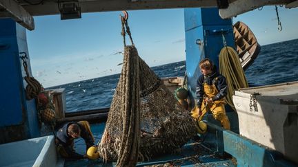 Trois pêcheurs travaillent au large de Sète (Hérault), le 18 mars 2021. (MAXIME GRUSS / HANS LUCAS / AFP)