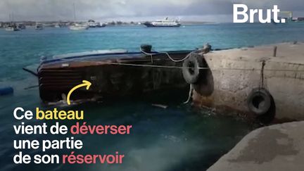 Une marée noire tout juste évitée dans l'un des plus grands trésors écologiques de la planète. C'est ce qui vient de se produire dans l'archipel des Galápagos.