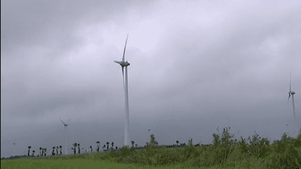 Ils ont investi avec succès dans un parc d'éoliennes