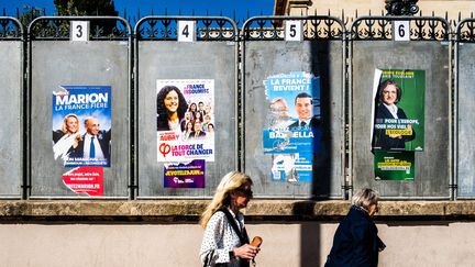 Des posters de campagne pour les élections européennes du 9 juin, le 28 mai 2024, à Perpignan (Pyrénées-Orientales). (JC MILHET / HANS LUCAS / AFP)