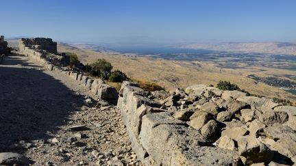 Cette découverte a été réalisée après des études dans la vallée du Jourdain, au&nbsp;Proche-Orient. Photo d'illustration. (RIEGER BERTRAND / HEMIS.FR)