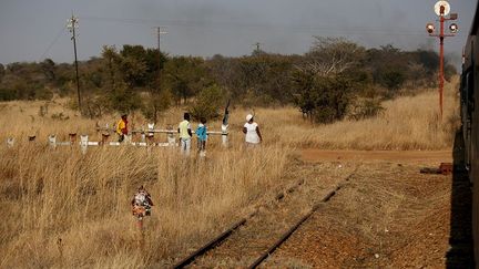 que de nombreux Zimbabwéens préfèrent faire le trajet en bus ou en taxi collectif plutôt que de supporter un trajet en train, même si celui-ci coûte moitié prix.
 (Siphiwe Sibeko / REUTERS)